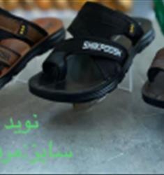 مدل نوید